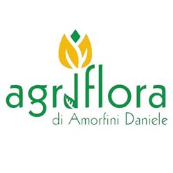 Agriflora Di Amorfini Daniele