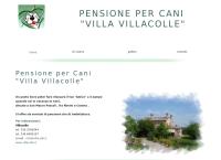 Pensione Per Cani e Toilettatura Villa Villacolle