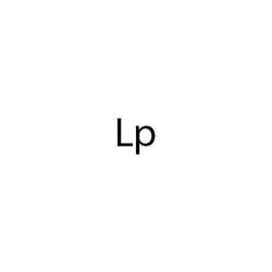 Studio Lp