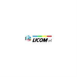 Licom - elaborazione dati contabili e libri paga