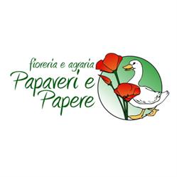 Fioreria Papaveri e Papere