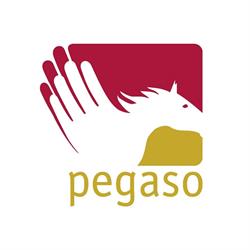 Pegaso Fondo Pensione Compl. Lavoratori Imprese