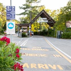 Camping Sabbiadoro