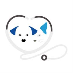 Ambulatorio Veterinario Lotti - Santangelo