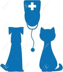 Rombaldoni Maurizio Ambulatorio Veterinario - Medico Veterinario