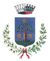 Comune Di Pasian Di Prato