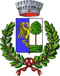 Comune Di Pavia Di Udine