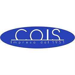 Impresa Cois S.r.l. Lavori Stradali Idraulici