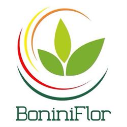 Floricoltura Bonini Roberto - Bella Farnia