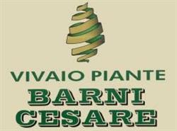 Barni Cesare Vivaismo