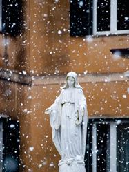 Opus Mariae Matris Ecclesiae