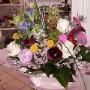 Fiori Freschi
