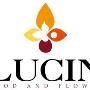 Lucin