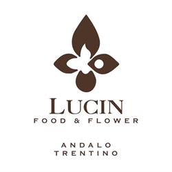 Lucin