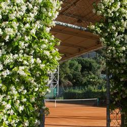 Circolo Del Tennis Imperia