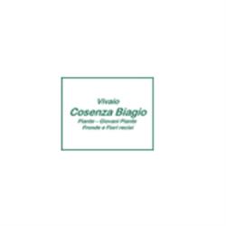 Vivaio Cosenza Biagio