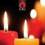 Cau Candela Candele Cere Fiamma Moccolo Lumini Cereria Artigiana Umbra Gubbio