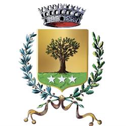 Comune Di Montecchio - Centralino