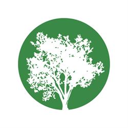 Punto Verde Vivai Piante F.Lli Rosa Progettazione Realizzazione Verde