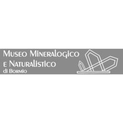 Museo Mineralogico e Naturalistico di Bormio