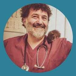 Benini Fabrizio
