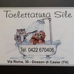 Toelettatura Sile Di Buono Maria & C. S.a.s. Toelettatura Cani Gatti