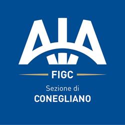 F.I.G.C.Federazione Italiana Gioco Calcio Associazione Italiana Arbitri