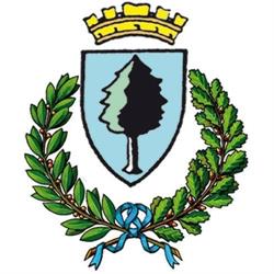 Comune Di Venasca