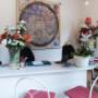 Gallery Professionale