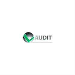 Vaudit Welding srl