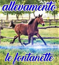 Allevamento Le Fontanette (S.r.l.)
