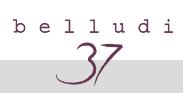 Hotel Belludi 37