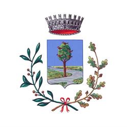 Comune Di Pianiga