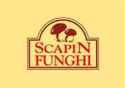 Scapin Funghi S.N.C. Di Scapin Enzo & C. Ortofrutta