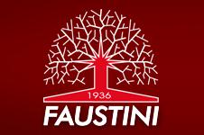 Faustini Tiziano e Ivano S.n.c.
