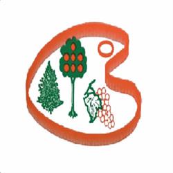 Societa Agricola Florovivaistica Bevilacqua A. & G. S.S. Vivai - Piante - Floricoltura