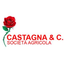 Societa' Agricola Castagna & C. S.S.