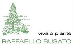 Raffaello Busato Vivaio Piante