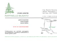 Sito di Raffaello Busato Vivaio Piante