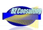 Bz Consulting S.r.l.
