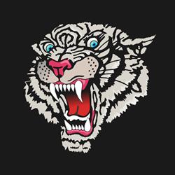 Associazione Sportiva Dilettantistica Maverick Boxing Gym