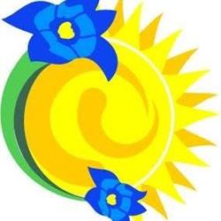 Estetica E Benessere Iris Di Zilli Iris
