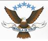 Aeropubblicita' Vicenza S.r.l.