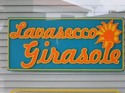 Pulitura A Secco Girasole Di Nicolini Mara Lavasecco