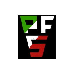 Pfs Costruzione Stampi