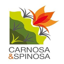 Carnosa & Spinosa