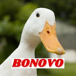 Bonovo Di Bonato Mauro e Roberto SNC Vendita Uova e Animali Da Cortile
