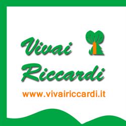 Società Agricola Vivai Riccardi