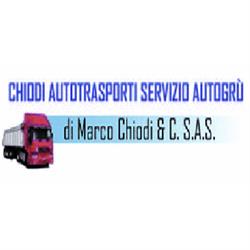 Chiodi Autotrasporti e Servizio Autogru