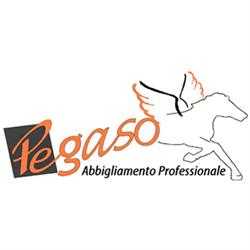 Pegaso Abiti Da Lavoro